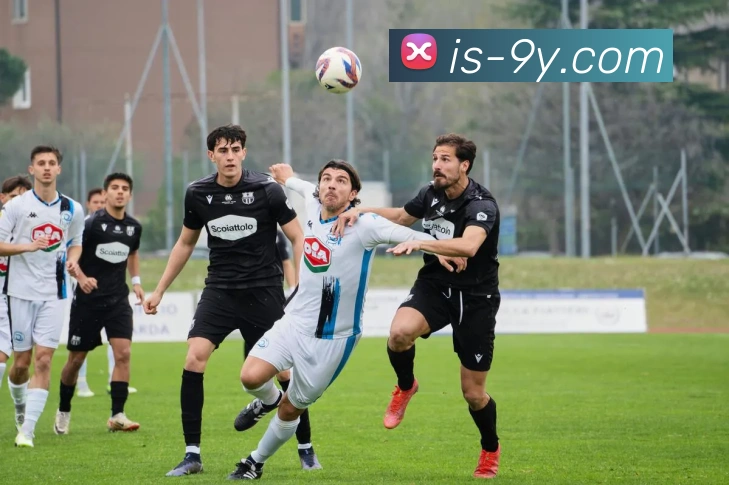 九游官网平台生态图