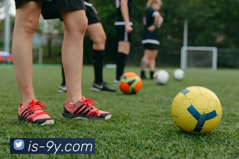 九游官网APP 封面图